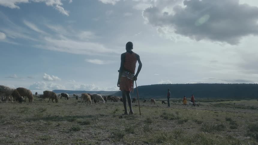 Indigenous people with orange traditional outfit take care of sheep in the field