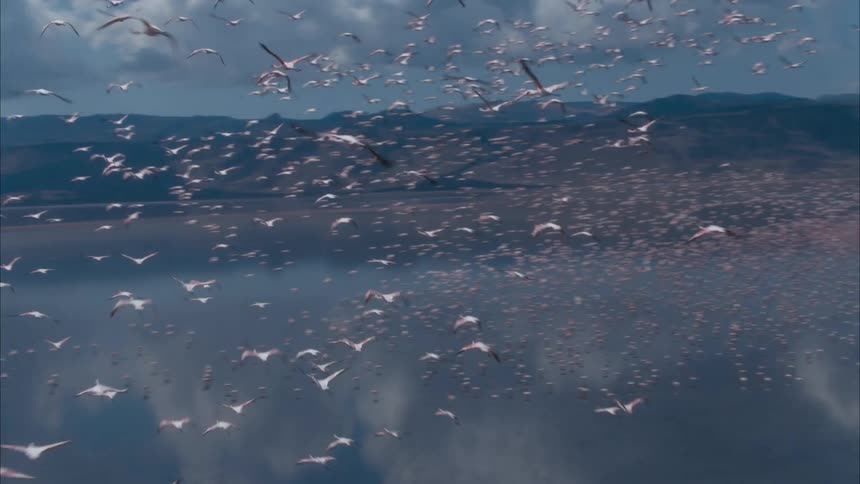 A flock of birds are flying over a lake with mountains in the distance