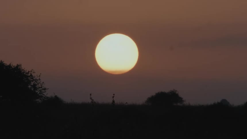 The sun shines in a red sky above the trees