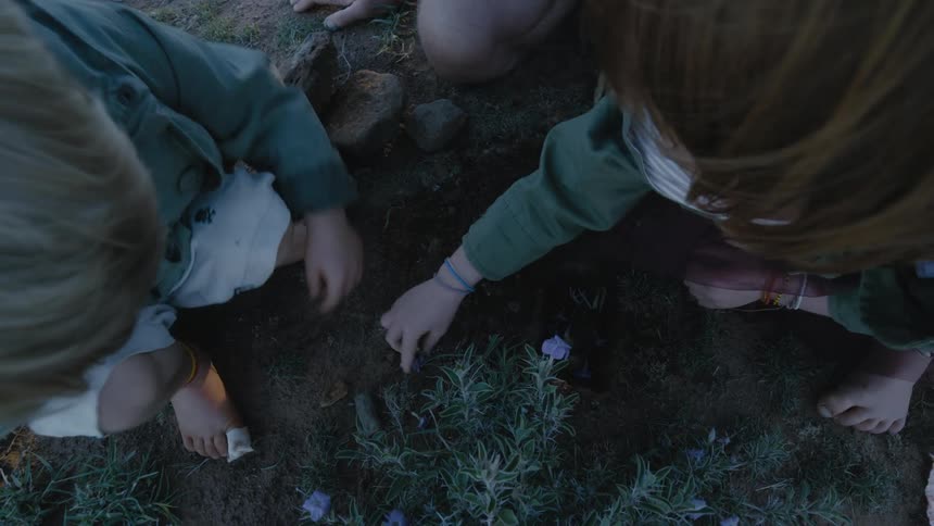 Two kids are planting flowers outdoors in the spring