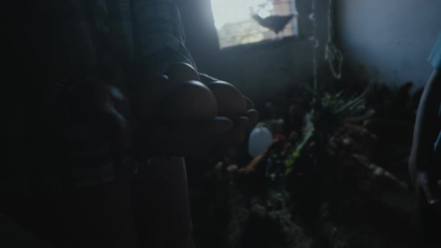 A person holding fresh eggs near the chickens inside a home coop in a rural farm