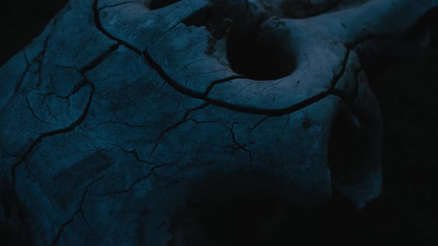 Close up view of rocks on the ground at night
