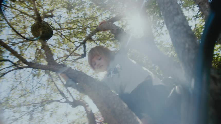 Blonde girl with blue sweatshirt and black pants climbs tree under the sun
