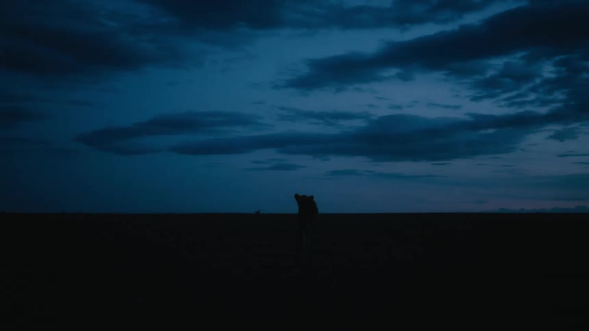 A lioness in a field at dusk