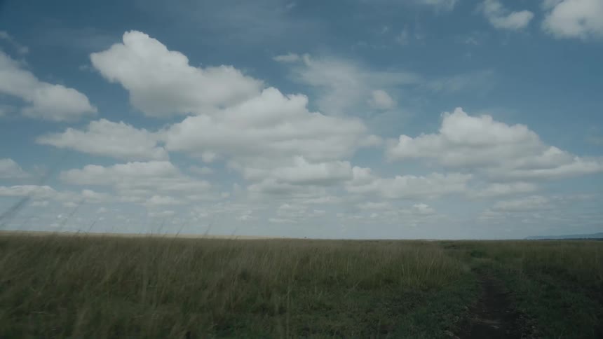 Cumulus clouds in the sky over a field of tall grass and weeds