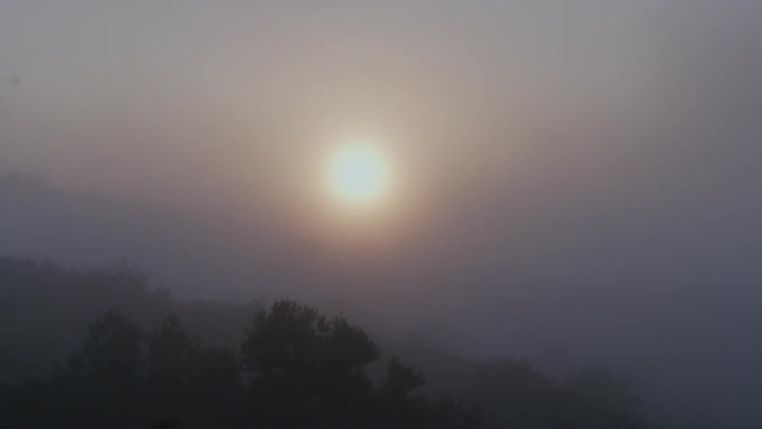 The sun shines above trees in a foggy sky