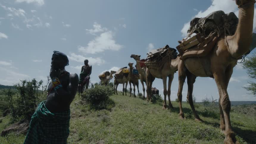 Two people stand near a row of camels