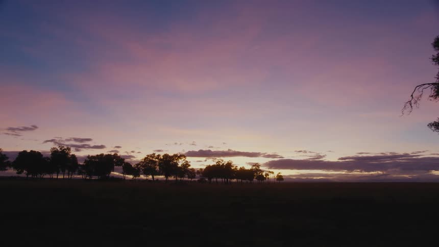 African trees are silhouetted against the red sky at dusk