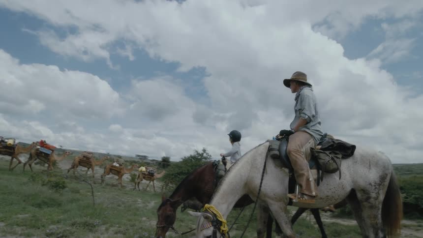 Dog runs across field as horse riders watch camel caravan