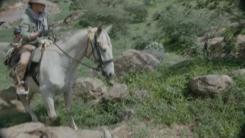 Family rides horses along hilly terrain near river accompanied by pet dog