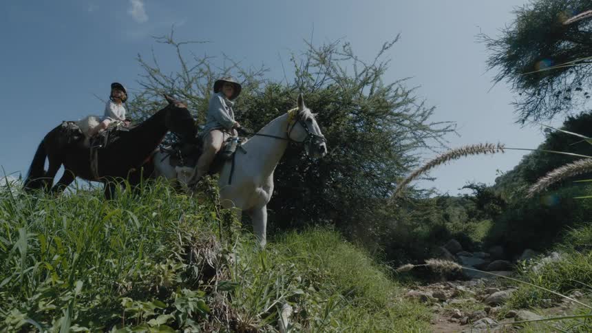 Two people are riding horses in a rural area