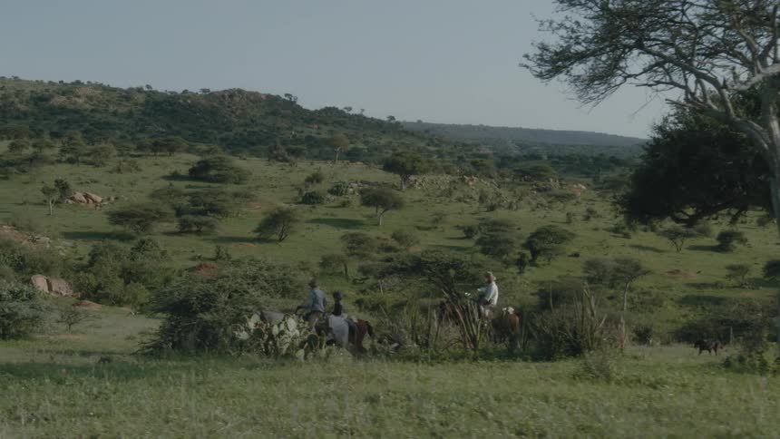 Men and boys wearing hats and shirts ride horses on grassy hill