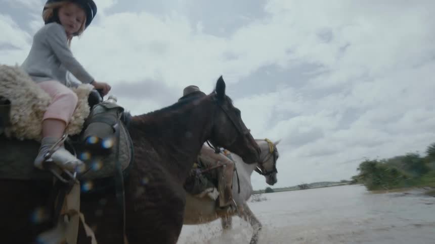 Two dogs and a group of people riding horses and crossing a river