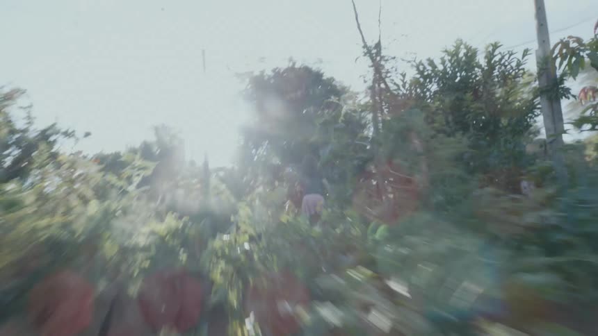 Young girl wearing a pink skirt running through a garden in the morning