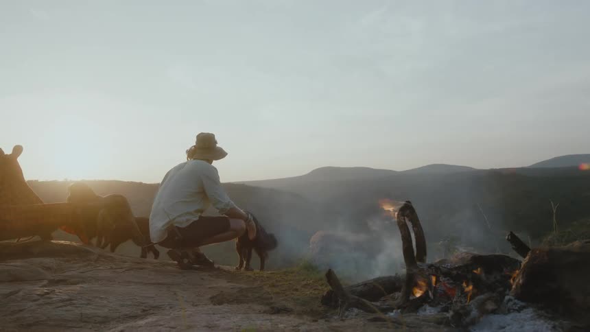 A person crouching next to a campfire while fours dogs are walking around