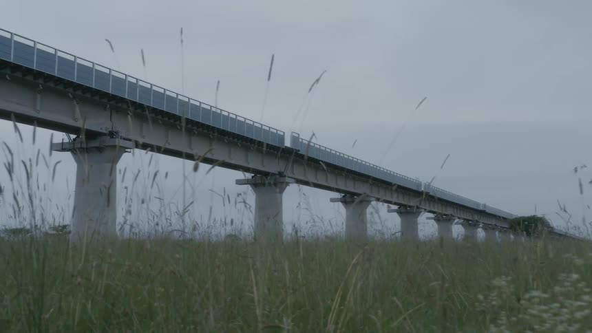 A bridge stretches over a field of tall grass and weeds