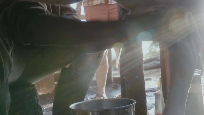 Man milks cow as another person watches