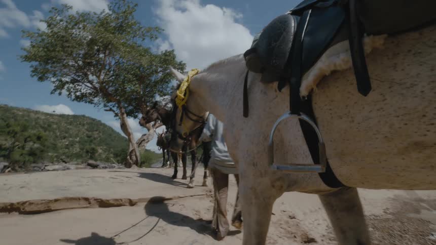 Man leads horse as part of group trail riding near hills