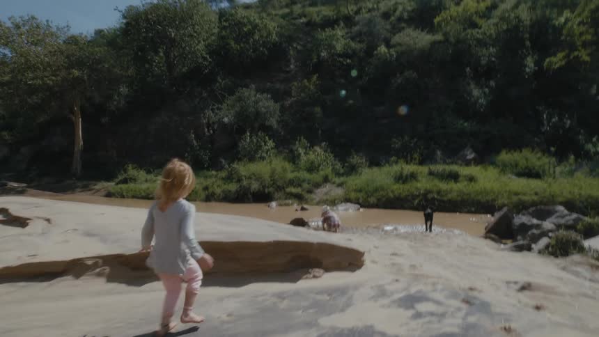 Little girl runs towards her brother near the stream as a black dog runs around and a horse stands nearby