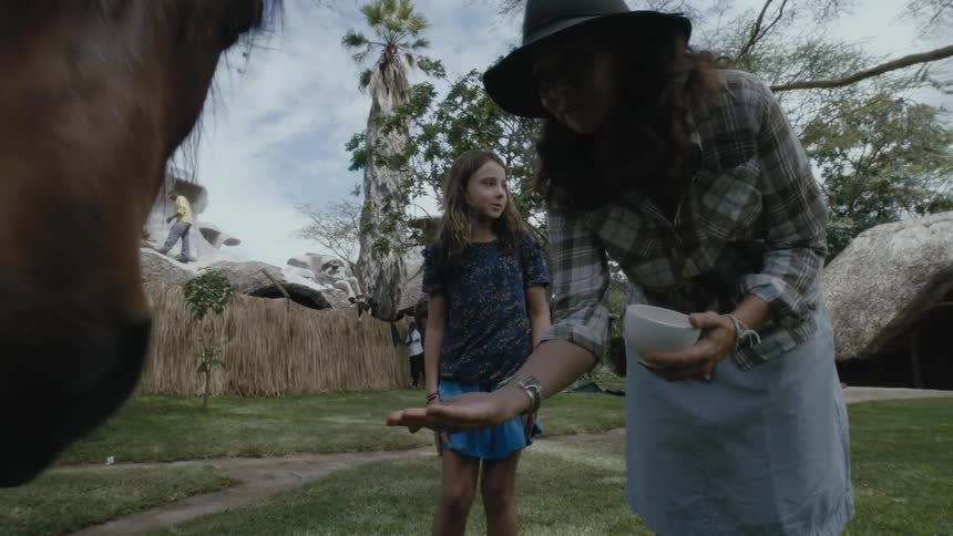 Brother and sister looking at mother feeding a small horse on a petting zoo