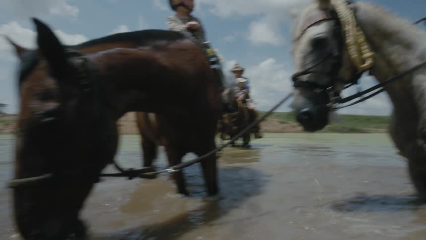 Family ride horses in the stream as one of the horses splashes the water with its front leg