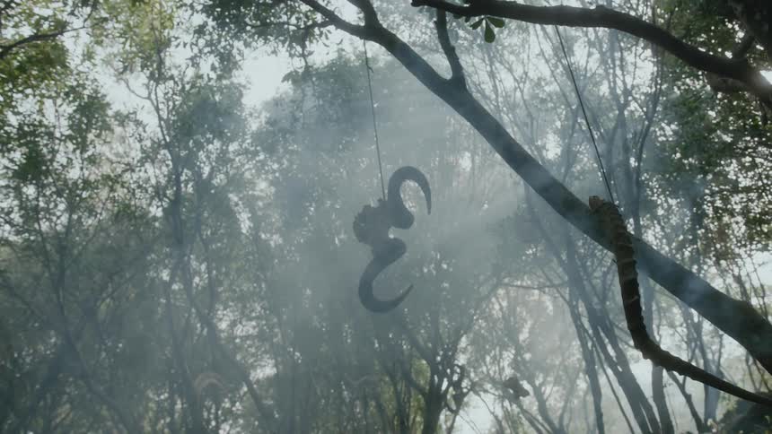 Animal horns hang on a string from a tree in the forest