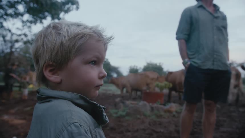 Kids and adults stand and move around field occupied by cattle
