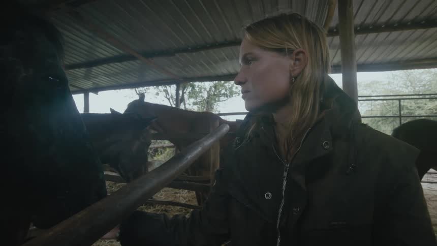 A woman is petting the horses in the stable