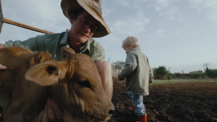A farm employee shows a baby cow to two young children