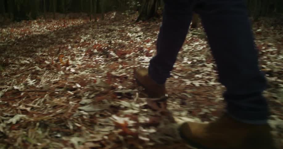 A person is walking in the wilderness on some dead leaves