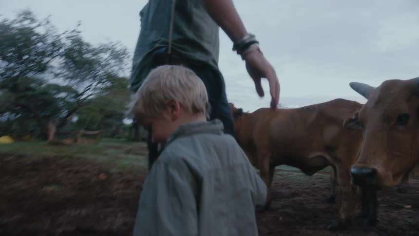 A little boy follows his dad through a muddy pasture with cows and his dad bends down and looks at a cow