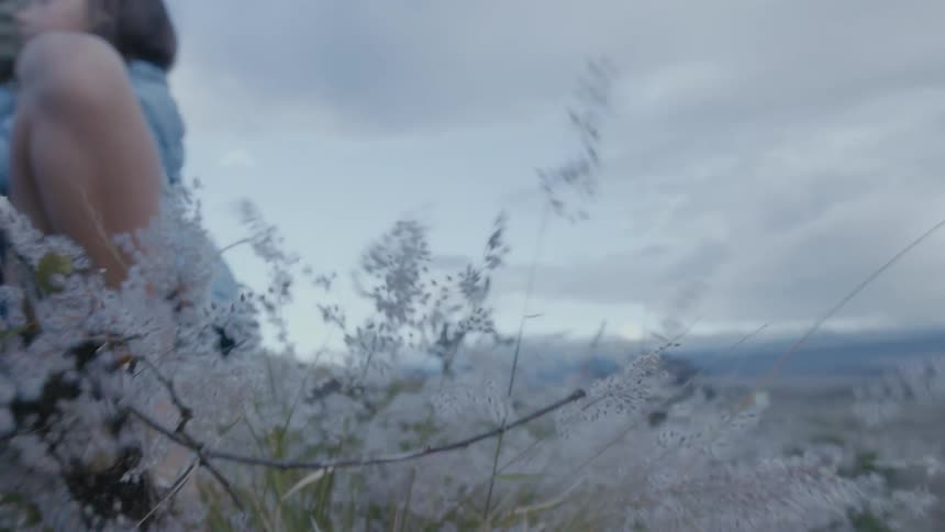 The wind blows flowers and grass near a little girl