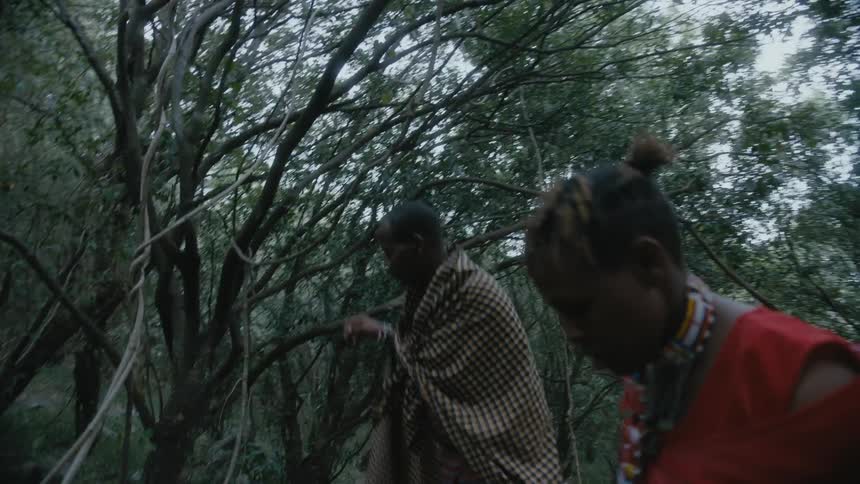 A man and woman dressed in cultural garb walk toward a small tree and the man shakes it
