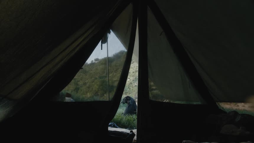 Black dog sits outside of a tent near a hill