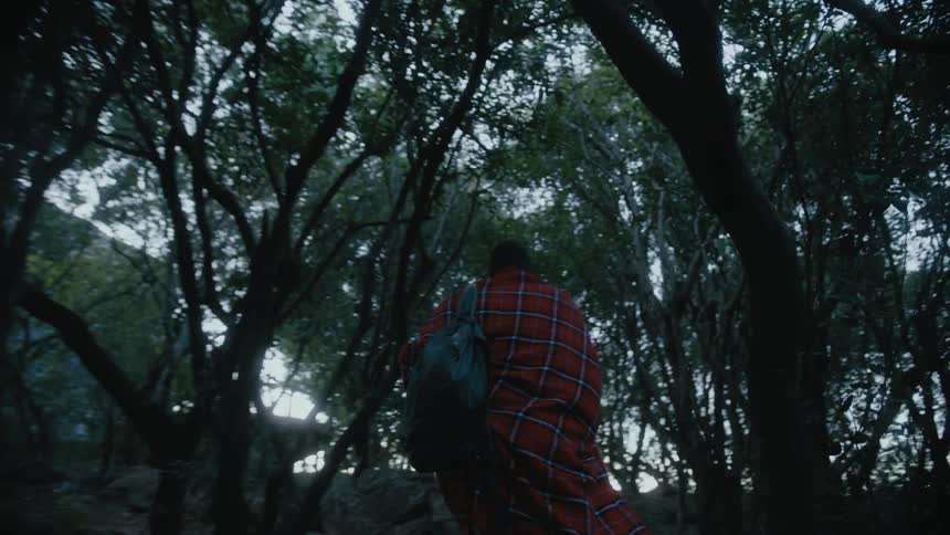 Man wearing a cloak walking on a path through a forest close to a hut