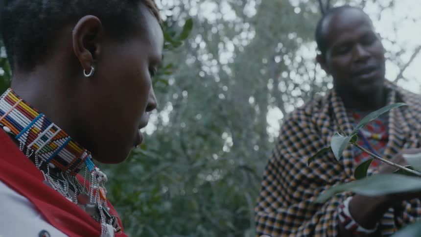 A man and woman chew on leaves in the forest
