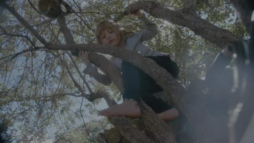 Barefoot girl climbs tree on sunny day