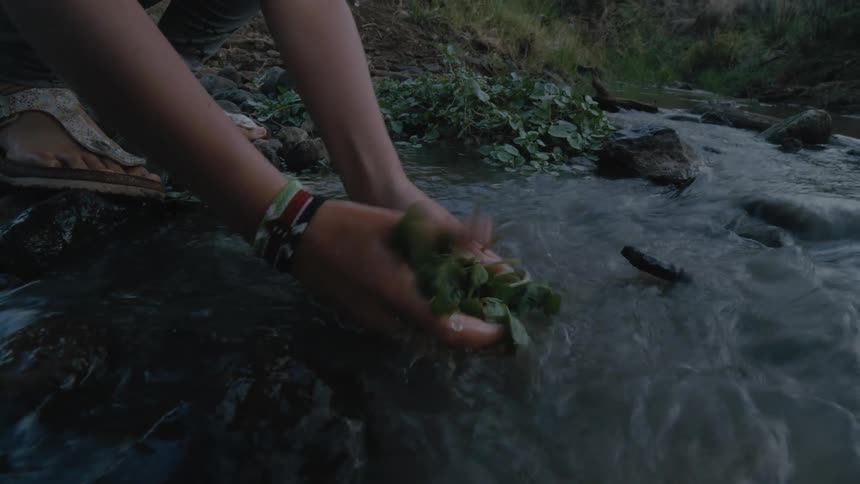 A girl washes leaves in the stream