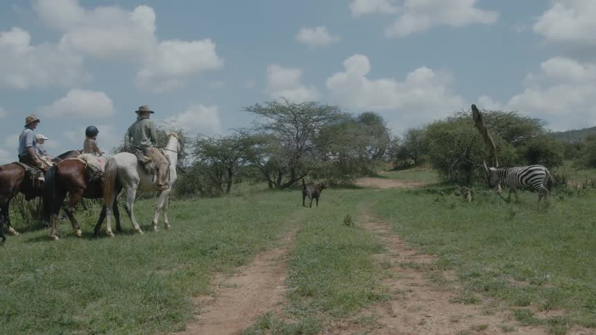 People are riding horses in a rural area