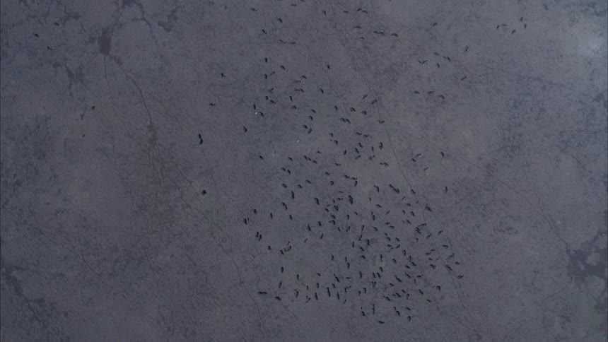 Birds eye view of the ground is displayed