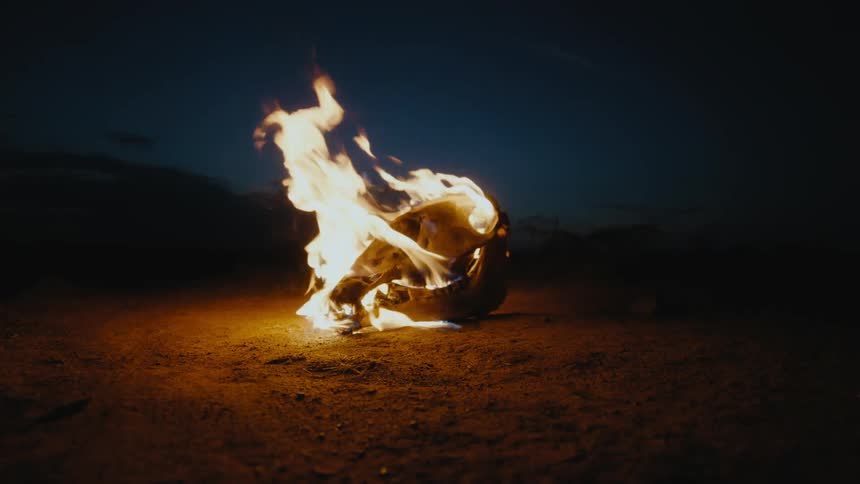 The animal skull burns at sunset