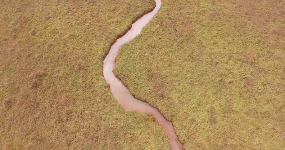 Coastal Aerials