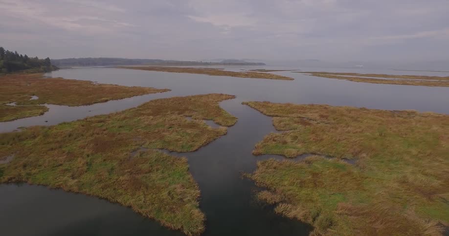 Large body of water in between patches of land
