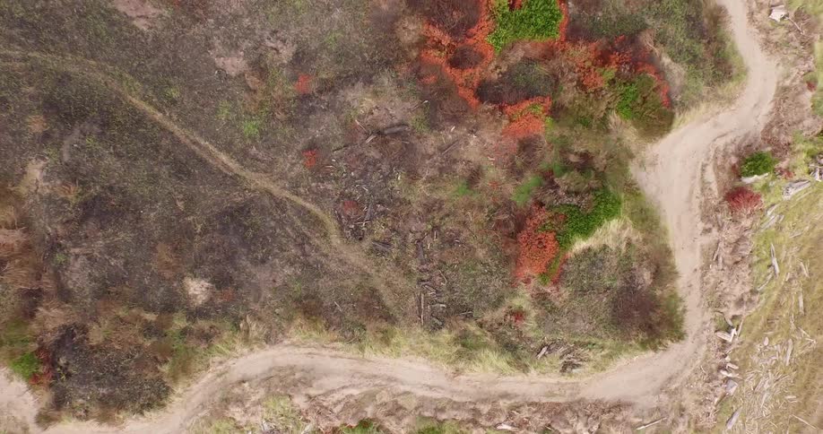Aerial view of a road winding through a desolate area