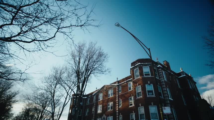 An old brownstone apartment building with many bare trees around it