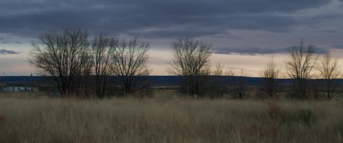A view of grasslands and plains