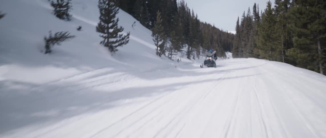 People riding snowmobiles in a forest