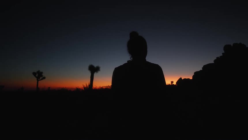 Silhouette of a woman walking among trees and a darkening red sky