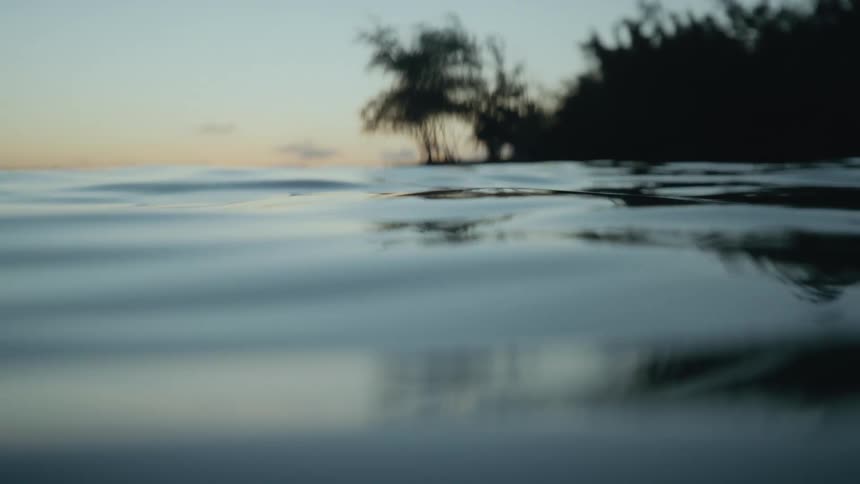 Reflections of trees are in the rippling water and then their view goes dark underwater