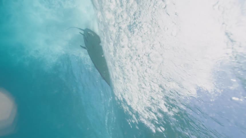 A view of a surfboard from underwater